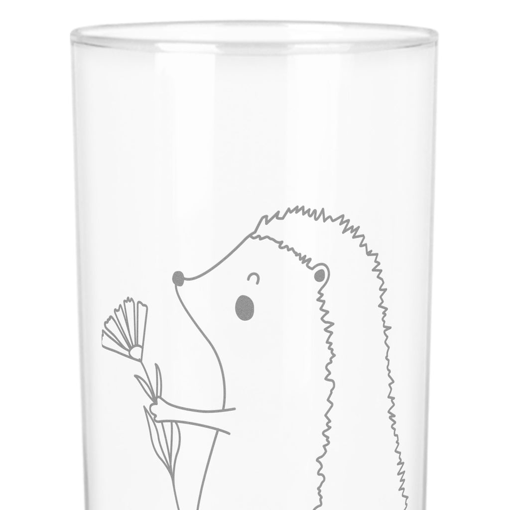 Wasserglas Igel mit Blume Wasserglas, Glas, Trinkglas, Wasserglas mit Gravur, Glas mit Gravur, Trinkglas mit Gravur, Tiermotive, Gute Laune, lustige Sprüche, Tiere, Igel, Gute Besserung, Genesungswünsche, Krankheit, Krankenhaus, krank, Besuch