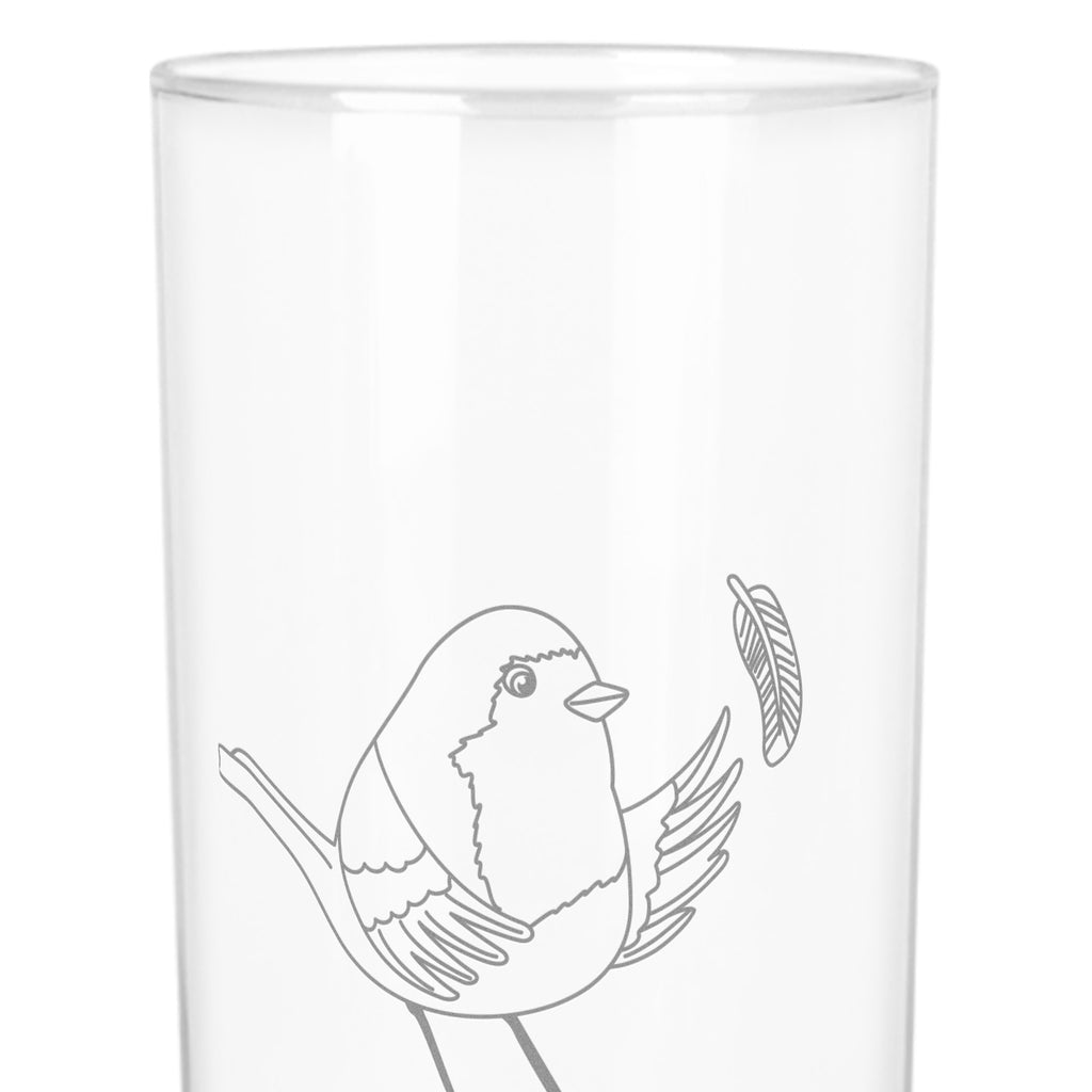 Wasserglas Rotkehlchen mit Federn Wasserglas, Glas, Trinkglas, Wasserglas mit Gravur, Glas mit Gravur, Trinkglas mit Gravur, Tiermotive, Gute Laune, lustige Sprüche, Tiere, What if i fall, Rotkehlchen, Spruch Motivation, Spruch Mut, Vogel, Motivation Sprüche, Motivationsbilder, fliegen