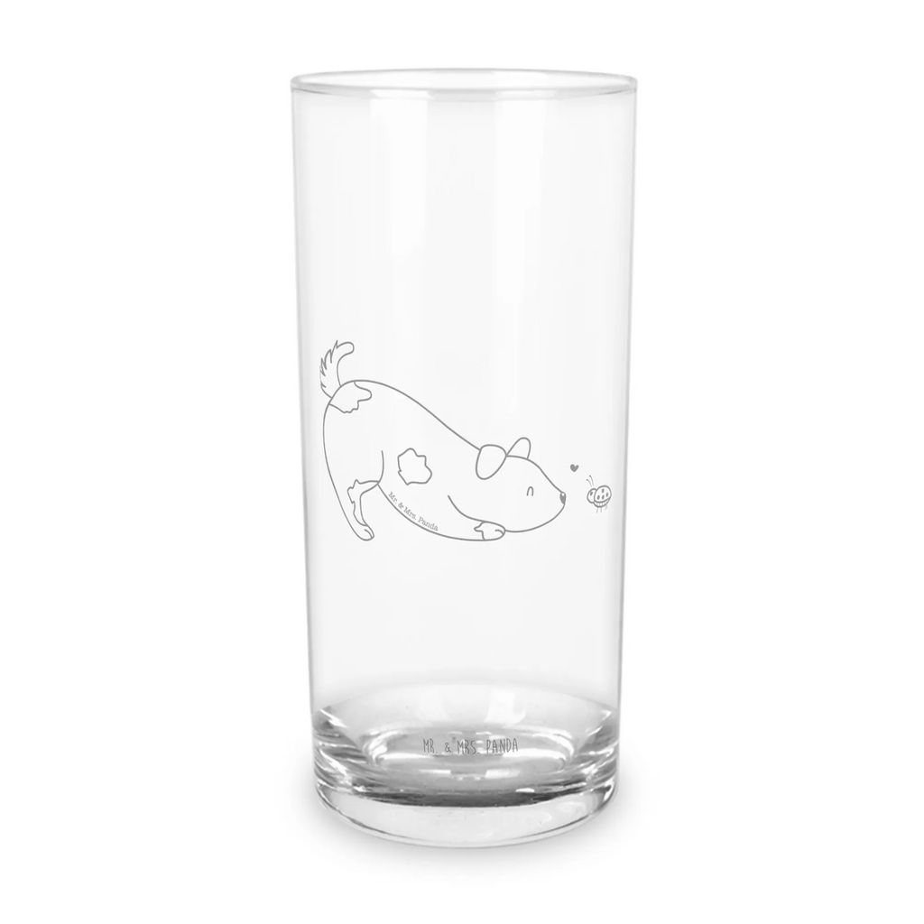 Wasserglas Hund Marienkäfer Wasserglas, Glas, Trinkglas, Wasserglas mit Gravur, Glas mit Gravur, Trinkglas mit Gravur, Hund, Hundemotiv, Haustier, Hunderasse, Tierliebhaber, Hundebesitzer, Sprüche, Hunde, Hundespruch, Marienkäfer, Mischling, Mischlinghund