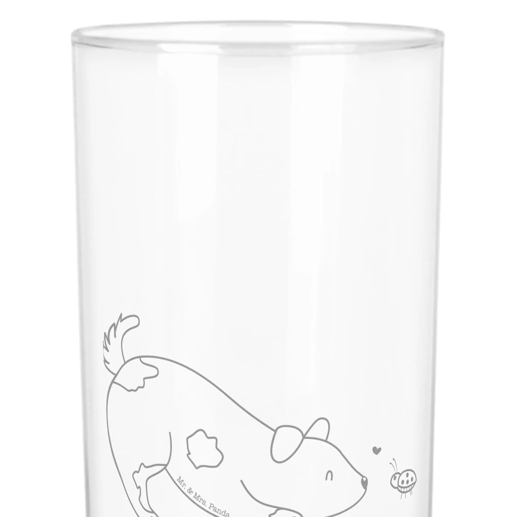 Wasserglas Hund Marienkäfer Wasserglas, Glas, Trinkglas, Wasserglas mit Gravur, Glas mit Gravur, Trinkglas mit Gravur, Hund, Hundemotiv, Haustier, Hunderasse, Tierliebhaber, Hundebesitzer, Sprüche, Hunde, Hundespruch, Marienkäfer, Mischling, Mischlinghund