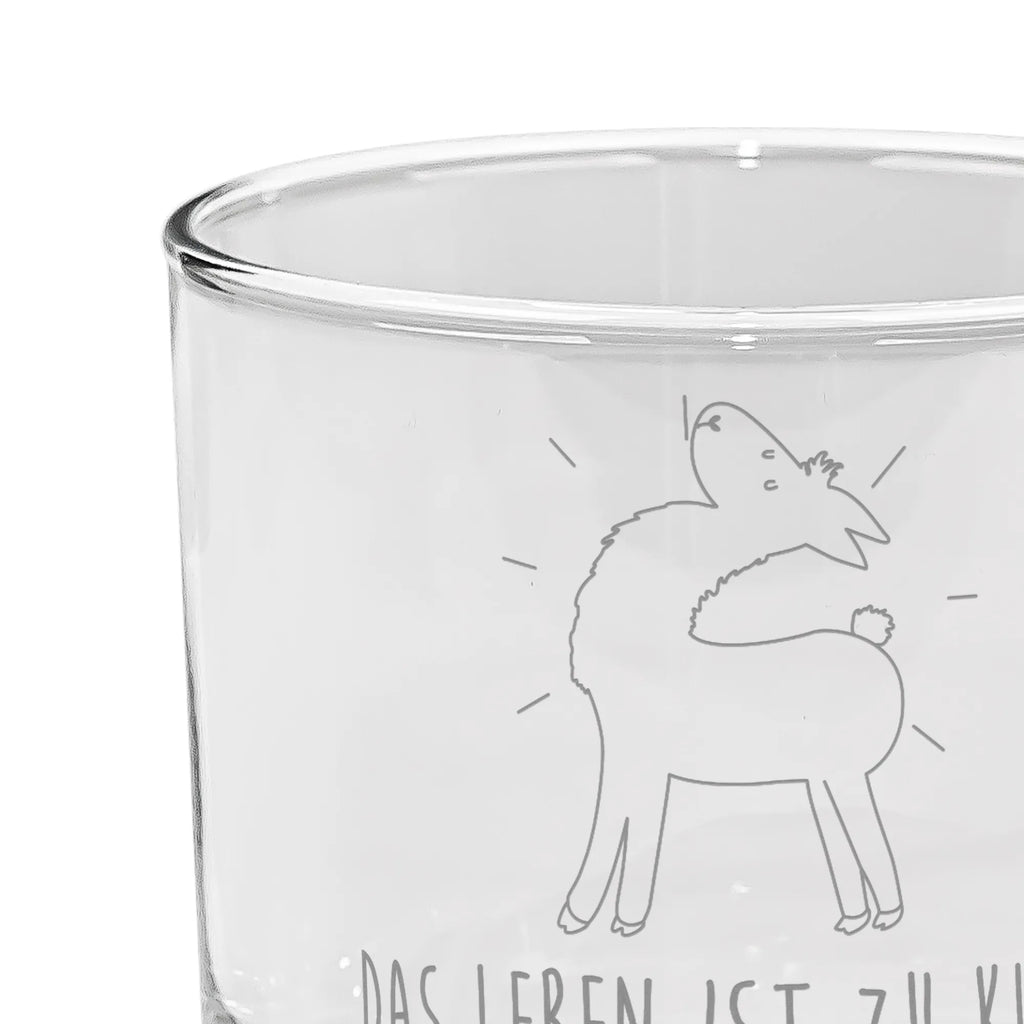 Ginglas Lama stolz Ginglas, Gin Glas, Gin Glas mit Gravur, Ginglas mit Spruch, Gin Glas mit Sprüchen, Lama, Alpaka, Lamas, Außenseiter, Anders, Neustart, stolz, Hippie, Freundin, Freundinnen, beste Freundin, Kumpel, Familie, Family