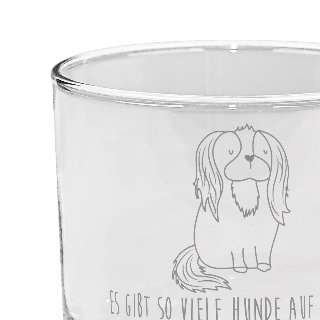 Ginglas Cavalier King Charles Spaniel Ginglas, Gin Glas, Gin Glas mit Gravur, Ginglas mit Spruch, Gin Glas mit Sprüchen, Hund, Hundemotiv, Haustier, Hunderasse, Tierliebhaber, Hundebesitzer, Sprüche, Cavalier King Charles Spaniel, Cockerspaniel, Spaniel, Spruch, schönster Hund