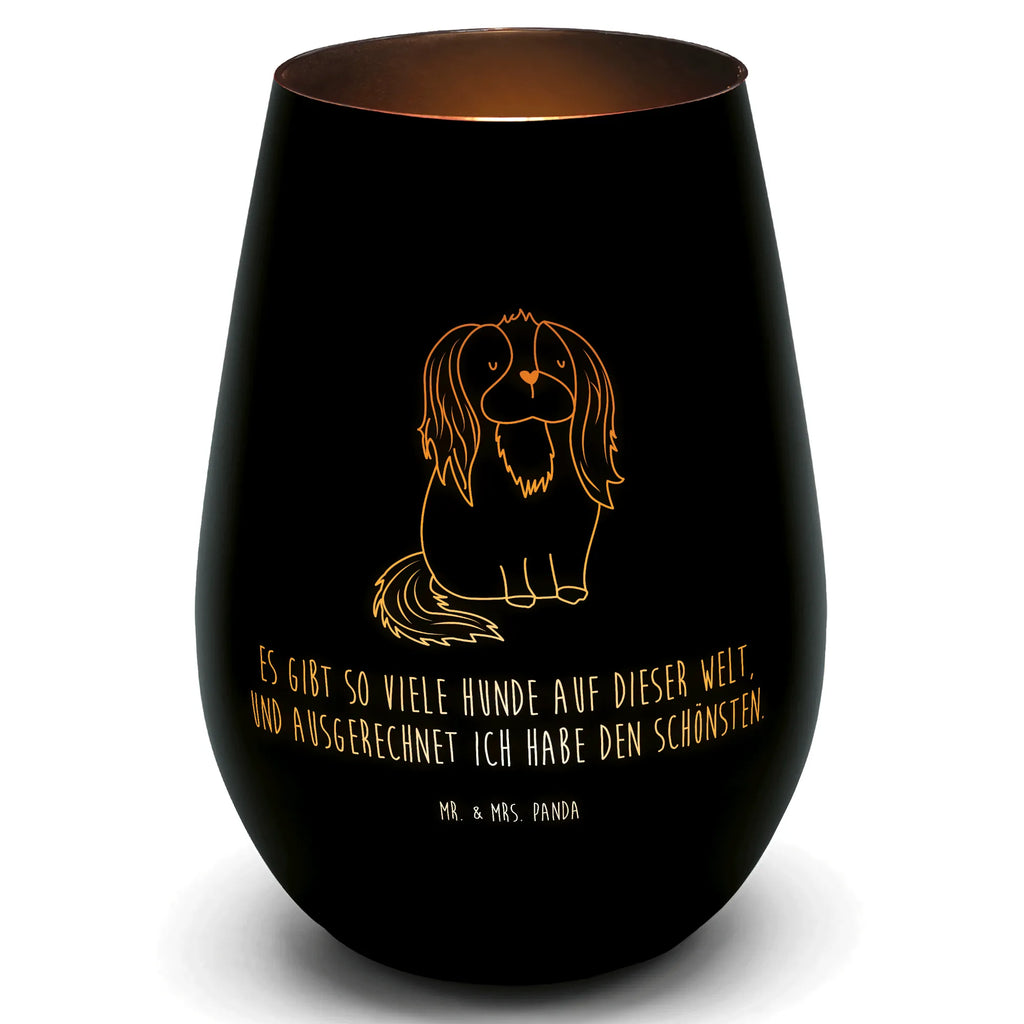 Gold Windlicht Hund Cavalier King Charles Spaniel Windlicht, Teelicht, Graviertes Windlicht, Windlicht Gravur, Kerze, Windlicht aus Glas, Teelicht aus Glas, Hund, Hundemotiv, Haustier, Hunderasse, Tierliebhaber, Hundebesitzer, Sprüche, Cavalier King Charles Spaniel, Cockerspaniel, Spaniel, Spruch, schönster Hund