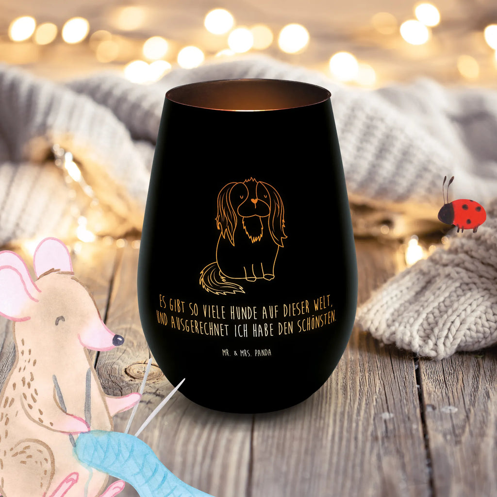 Gold Windlicht Hund Cavalier King Charles Spaniel Windlicht, Teelicht, Graviertes Windlicht, Windlicht Gravur, Kerze, Windlicht aus Glas, Teelicht aus Glas, Hund, Hundemotiv, Haustier, Hunderasse, Tierliebhaber, Hundebesitzer, Sprüche, Cavalier King Charles Spaniel, Cockerspaniel, Spaniel, Spruch, schönster Hund