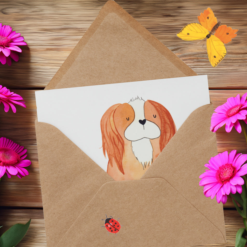 Deluxe Karte Hund Cavalier King Charles Spaniel Karte, Grußkarte, Klappkarte, Einladungskarte, Glückwunschkarte, Hochzeitskarte, Geburtstagskarte, Hochwertige Grußkarte, Hochwertige Klappkarte, Hund, Hundemotiv, Haustier, Hunderasse, Tierliebhaber, Hundebesitzer, Sprüche, Cavalier King Charles Spaniel, Cockerspaniel, Spaniel, Spruch, schönster Hund