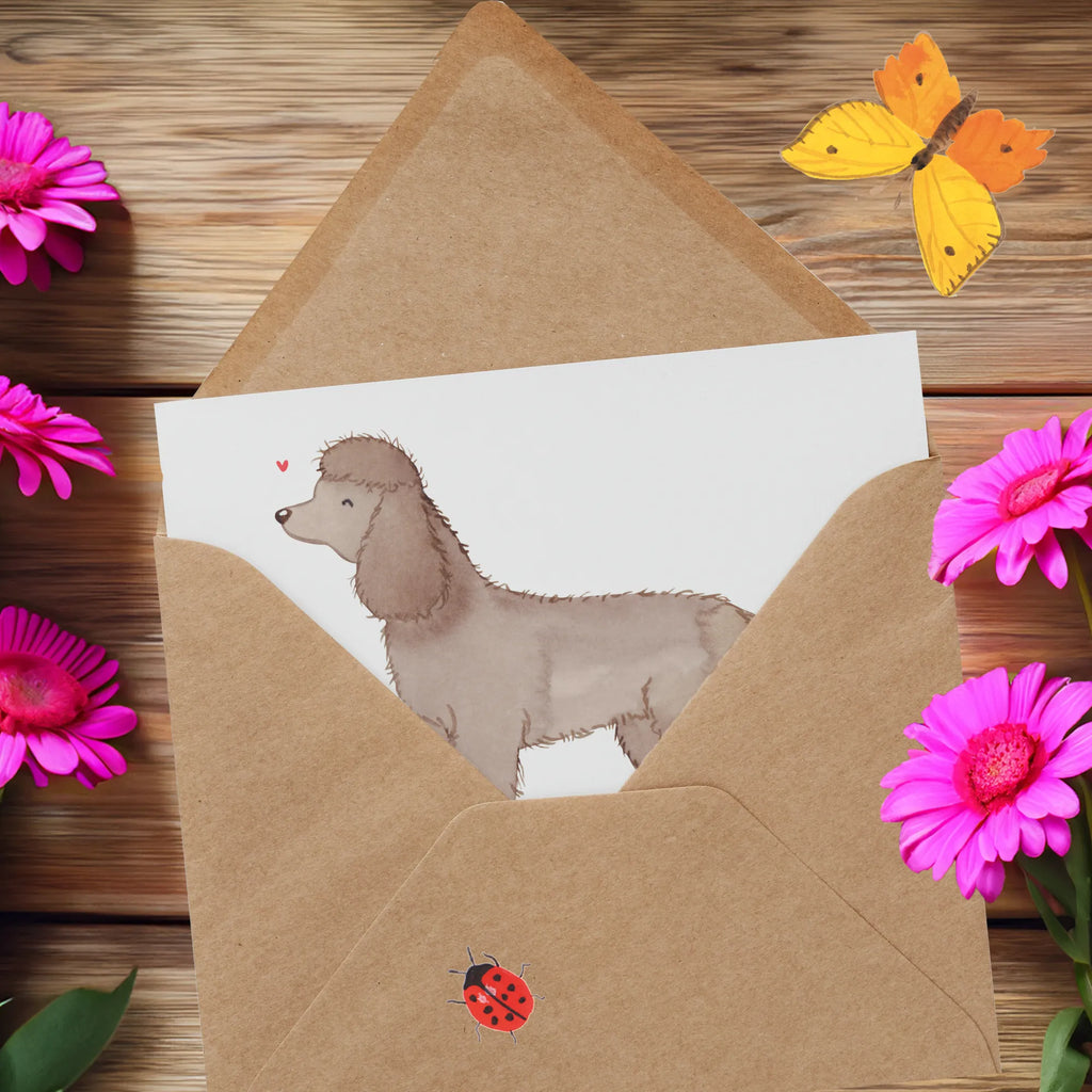 Personalisierte Deluxe Karte Irish Water Spaniel Lebensretter Personalisierte Grußkarte, Personalisiertere Klappkarte, Personalisierte Einladungskarte, Personalisierte Glückwunschkarte, Personalisierte Hochzeitskarte, Personalisierte Geburtstagskarte, Grußkarte mit Namen, Grußkarte selber drucken, Grußkarte selbst gestalten, Grußkarte mit persönlichen Nachrichten, Grußkarte als Geldgeschenk, Grußkarten personalisiert, Personalisierte Karte, Hund, Hunderasse, Rassehund, Hundebesitzer, Geschenk, Tierfreund, Schenken, Welpe, Irish Water Spaniel, Jagdhund