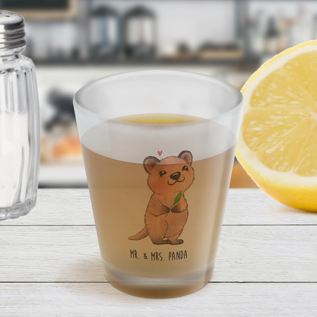 Schnapsglas Quokka Happy Schnapsglas, Shot Glas, Schnapsgläser, Likörgläser, Shotglas, Shotgläser, Likörglas, Stamperl, Likör Glas, Likör Gläser, Lustige Schnapsgläser, Kurze Gläser, Ausgefallene Schnapsgläser, Kurzen Glas, Tiermotive, Gute Laune, lustige Sprüche, Tiere, Quokka, Verschieben, Aufschieberitis, Lustiger Spruch, Niedliches Tier, Dinge erledigen