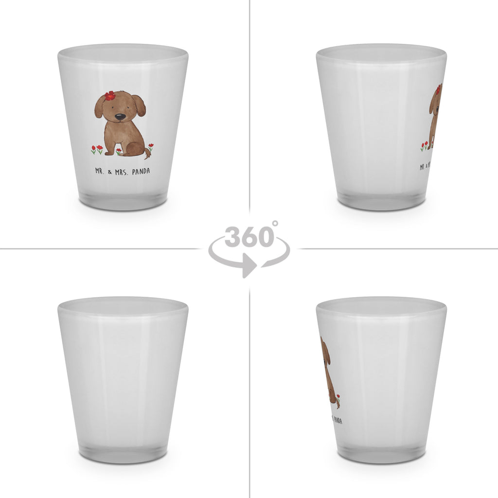 Schnapsglas Hund Dame Schnapsglas, Shot Glas, Schnapsgläser, Likörgläser, Shotglas, Shotgläser, Likörglas, Stamperl, Likör Glas, Likör Gläser, Lustige Schnapsgläser, Kurze Gläser, Ausgefallene Schnapsgläser, Kurzen Glas, Hund, Hundemotiv, Haustier, Hunderasse, Tierliebhaber, Hundebesitzer, Sprüche, Hunde, Hundeliebe, Hundeglück, Liebe, Frauchen