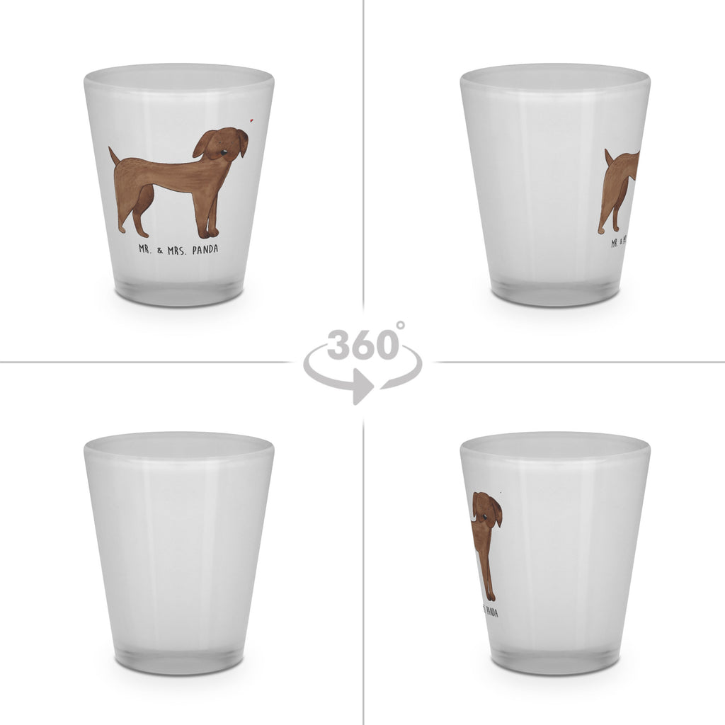 Schnapsglas Hund Dogge Schnapsglas, Shot Glas, Schnapsgläser, Likörgläser, Shotglas, Shotgläser, Likörglas, Stamperl, Likör Glas, Likör Gläser, Lustige Schnapsgläser, Kurze Gläser, Ausgefallene Schnapsgläser, Kurzen Glas, Hund, Hundemotiv, Haustier, Hunderasse, Tierliebhaber, Hundebesitzer, Sprüche, Hunde, Dogge, Deutsche Dogge, Great Dane