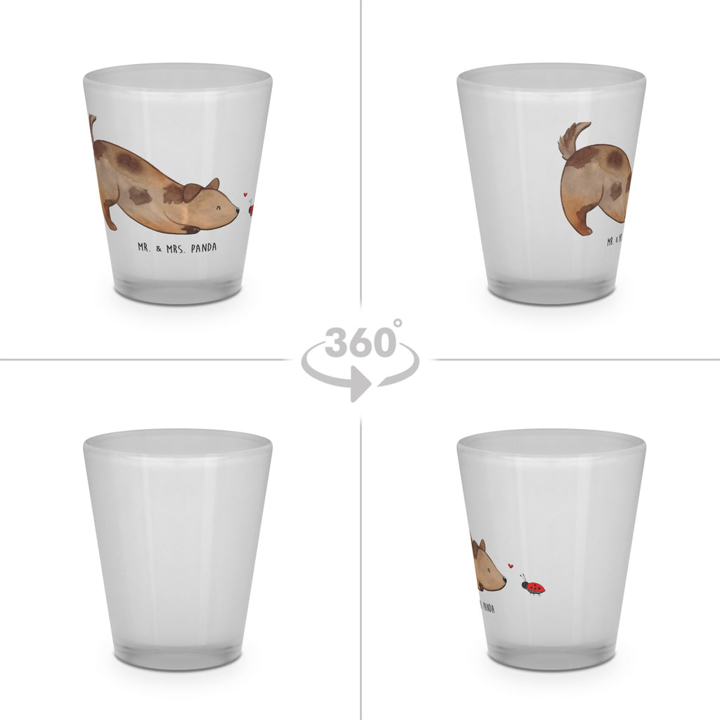 Schnapsglas Hund Marienkäfer Schnapsglas, Shot Glas, Schnapsgläser, Likörgläser, Shotglas, Shotgläser, Likörglas, Stamperl, Likör Glas, Likör Gläser, Lustige Schnapsgläser, Kurze Gläser, Ausgefallene Schnapsgläser, Kurzen Glas, Hund, Hundemotiv, Haustier, Hunderasse, Tierliebhaber, Hundebesitzer, Sprüche, Hunde, Hundespruch, Marienkäfer, Mischling, Mischlinghund