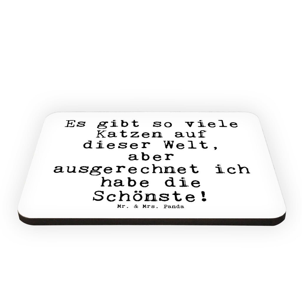 Magnet Sprüche und Zitate Es gibt so viele Katzen auf dieser Welt, aber ausgerechnet ich habe die Schönste! Kühlschrankmagnet, Pinnwandmagnet, Souvenir Magnet, Motivmagnete, Dekomagnet, Whiteboard Magnet, Notiz Magnet, Kühlschrank Dekoration, Spruch, Sprüche, lustige Sprüche, Weisheiten, Zitate, Spruch Geschenke, Spruch Sprüche Weisheiten Zitate Lustig Weisheit Worte