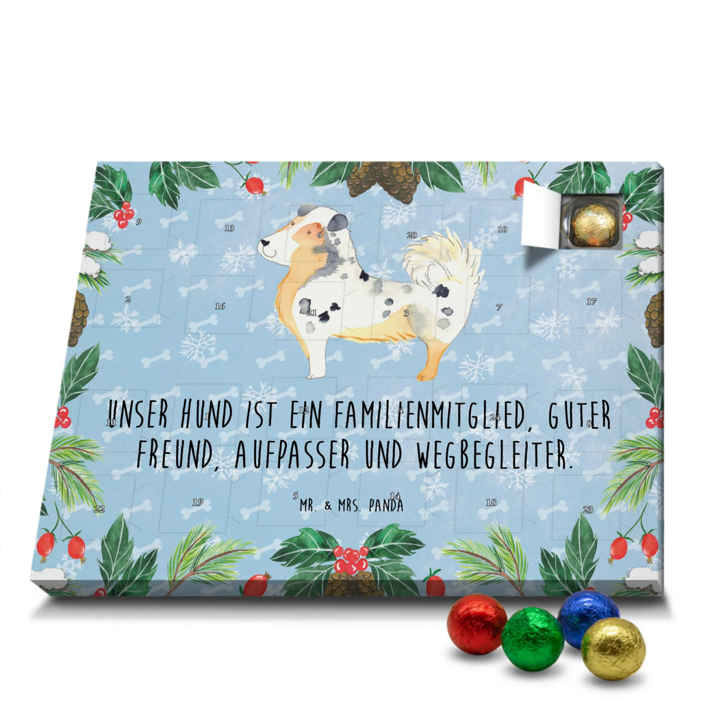 Schoko Adventskalender Hund Australien Shepherd Adventskalender, Schokoladen Adventskalender, Schoko Adventskalender, Hund, Hundemotiv, Haustier, Hunderasse, Tierliebhaber, Hundebesitzer, Sprüche, Australien Shepherd, Shepherd, Hundeliebe, Familienhund, Spruch