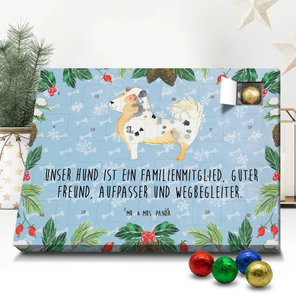 Schoko Adventskalender Hund Australien Shepherd Adventskalender, Schokoladen Adventskalender, Schoko Adventskalender, Hund, Hundemotiv, Haustier, Hunderasse, Tierliebhaber, Hundebesitzer, Sprüche, Australien Shepherd, Shepherd, Hundeliebe, Familienhund, Spruch