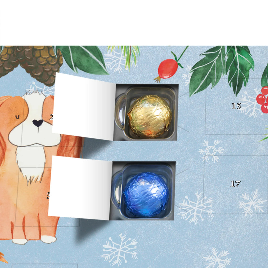 Personalisierter Schoko Adventskalender Hund Cavalier King Charles Spaniel Personalisierter Adventskalender, Adventskalender mit Namen, Hund, Hundemotiv, Haustier, Hunderasse, Tierliebhaber, Hundebesitzer, Sprüche, Cavalier King Charles Spaniel, Cockerspaniel, Spaniel, Spruch, schönster Hund