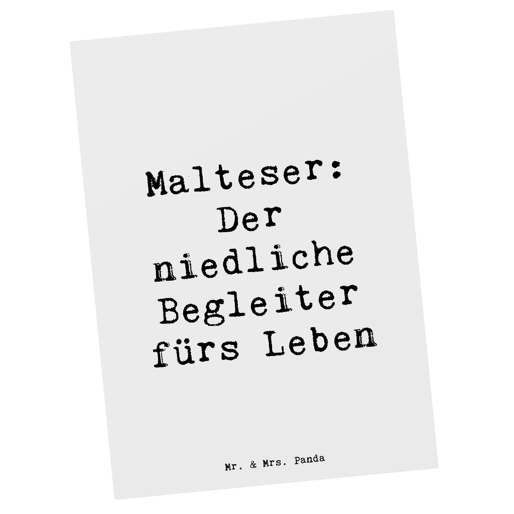 Postkarte Spruch Malteser Begleiter Postkarte, Karte, Geschenkkarte, Grußkarte, Einladung, Ansichtskarte, Geburtstagskarte, Einladungskarte, Dankeskarte, Ansichtskarten, Einladung Geburtstag, Einladungskarten Geburtstag, Hund, Hunderasse, Rassehund, Hundebesitzer, Geschenk, Tierfreund, Schenken, Welpe