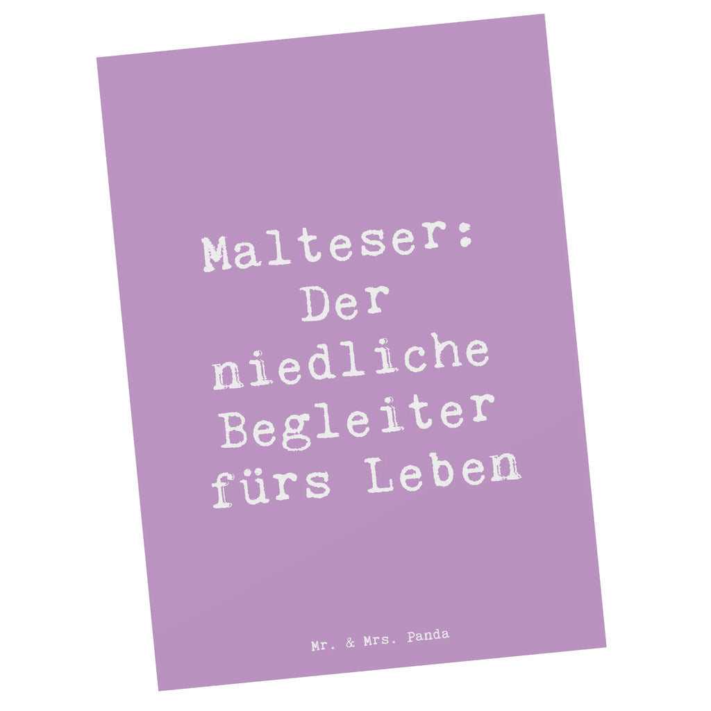 Postkarte Spruch Malteser Begleiter Postkarte, Karte, Geschenkkarte, Grußkarte, Einladung, Ansichtskarte, Geburtstagskarte, Einladungskarte, Dankeskarte, Ansichtskarten, Einladung Geburtstag, Einladungskarten Geburtstag, Hund, Hunderasse, Rassehund, Hundebesitzer, Geschenk, Tierfreund, Schenken, Welpe