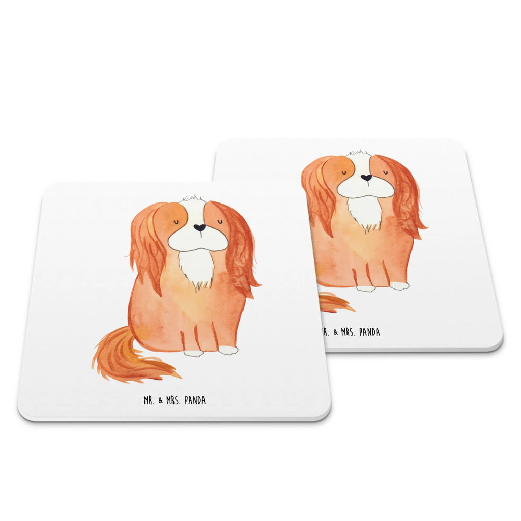 Untersetzer Set Hund Cavalier King Charles Spaniel Glasuntersetzer, Untersetzer für Gläser, Tischuntersetzer, Tischuntersetzer Kork, Untersetzer Filz, Holzuntersetzer, Filzuntersetzer rund, Tassenuntersetzer, Getränkeuntersetzer, Silikon Untersetzer, Untersetzer Set, Untersetzer Design, Design Untersetzer für Gläser, Hund, Hundemotiv, Haustier, Hunderasse, Tierliebhaber, Hundebesitzer, Sprüche, Cavalier King Charles Spaniel, Cockerspaniel, Spaniel, Spruch, schönster Hund