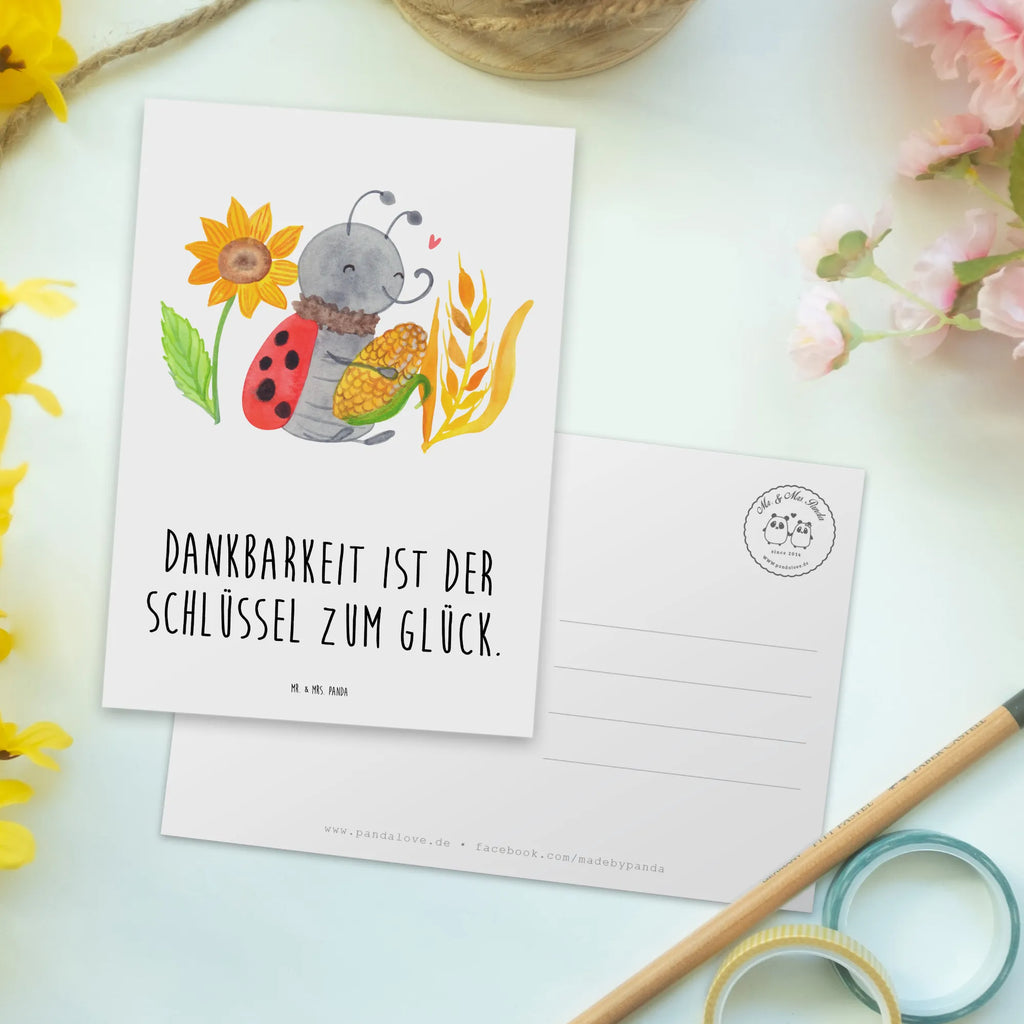 Postkarte Erntedankfest Dankbarkeit Postkarte, Karte, Geschenkkarte, Grußkarte, Einladung, Ansichtskarte, Geburtstagskarte, Einladungskarte, Dankeskarte, Ansichtskarten, Einladung Geburtstag, Einladungskarten Geburtstag, Erntedank, Erntedankfest, Erntedank Kindergarten, Erntedankspruch, Erntedank Sprüche, Erntedankfest deko, Erntedank Deko, Erntedank mit Kindern, Thanksgiving