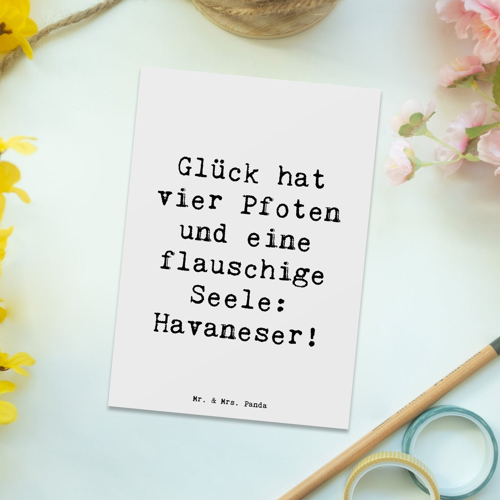 Postkarte Spruch Havaneser Glück Postkarte, Karte, Geschenkkarte, Grußkarte, Einladung, Ansichtskarte, Geburtstagskarte, Einladungskarte, Dankeskarte, Ansichtskarten, Einladung Geburtstag, Einladungskarten Geburtstag, Hund, Hunderasse, Rassehund, Hundebesitzer, Geschenk, Tierfreund, Schenken, Welpe