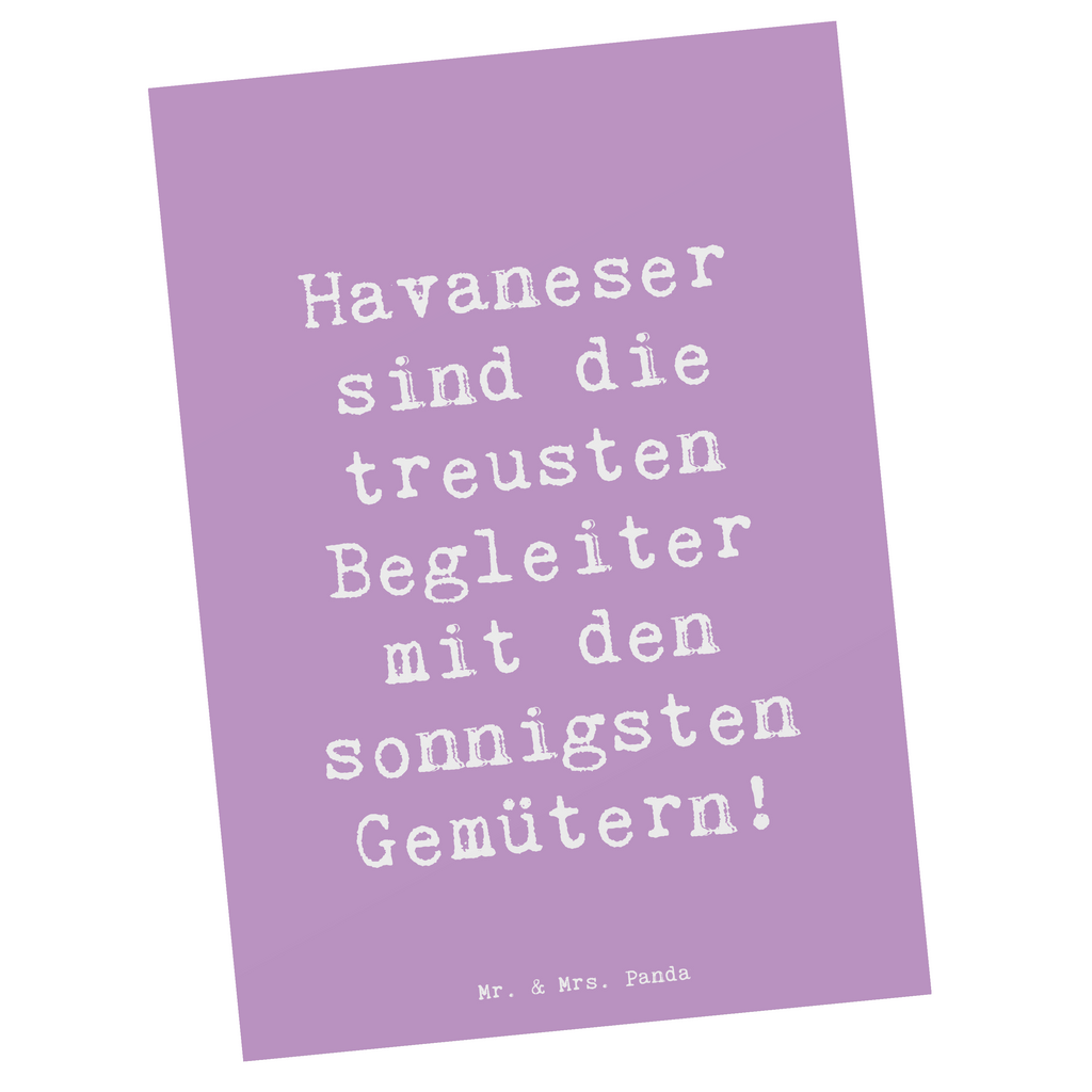 Postkarte Spruch Havaneser Begleiter Postkarte, Karte, Geschenkkarte, Grußkarte, Einladung, Ansichtskarte, Geburtstagskarte, Einladungskarte, Dankeskarte, Ansichtskarten, Einladung Geburtstag, Einladungskarten Geburtstag, Hund, Hunderasse, Rassehund, Hundebesitzer, Geschenk, Tierfreund, Schenken, Welpe