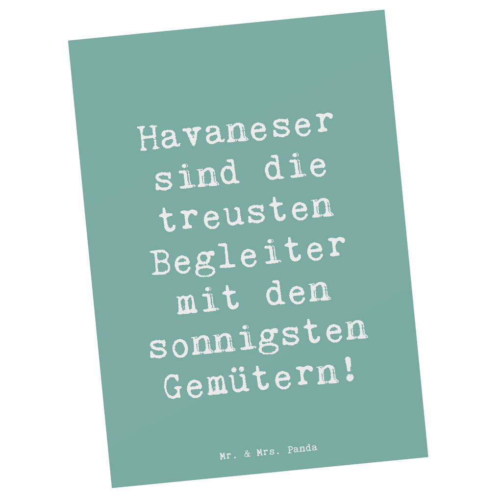 Postkarte Spruch Havaneser Begleiter Postkarte, Karte, Geschenkkarte, Grußkarte, Einladung, Ansichtskarte, Geburtstagskarte, Einladungskarte, Dankeskarte, Ansichtskarten, Einladung Geburtstag, Einladungskarten Geburtstag, Hund, Hunderasse, Rassehund, Hundebesitzer, Geschenk, Tierfreund, Schenken, Welpe