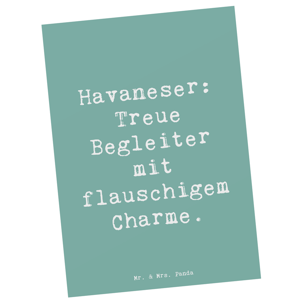 Postkarte Spruch Havaneser Charme Postkarte, Karte, Geschenkkarte, Grußkarte, Einladung, Ansichtskarte, Geburtstagskarte, Einladungskarte, Dankeskarte, Ansichtskarten, Einladung Geburtstag, Einladungskarten Geburtstag, Hund, Hunderasse, Rassehund, Hundebesitzer, Geschenk, Tierfreund, Schenken, Welpe