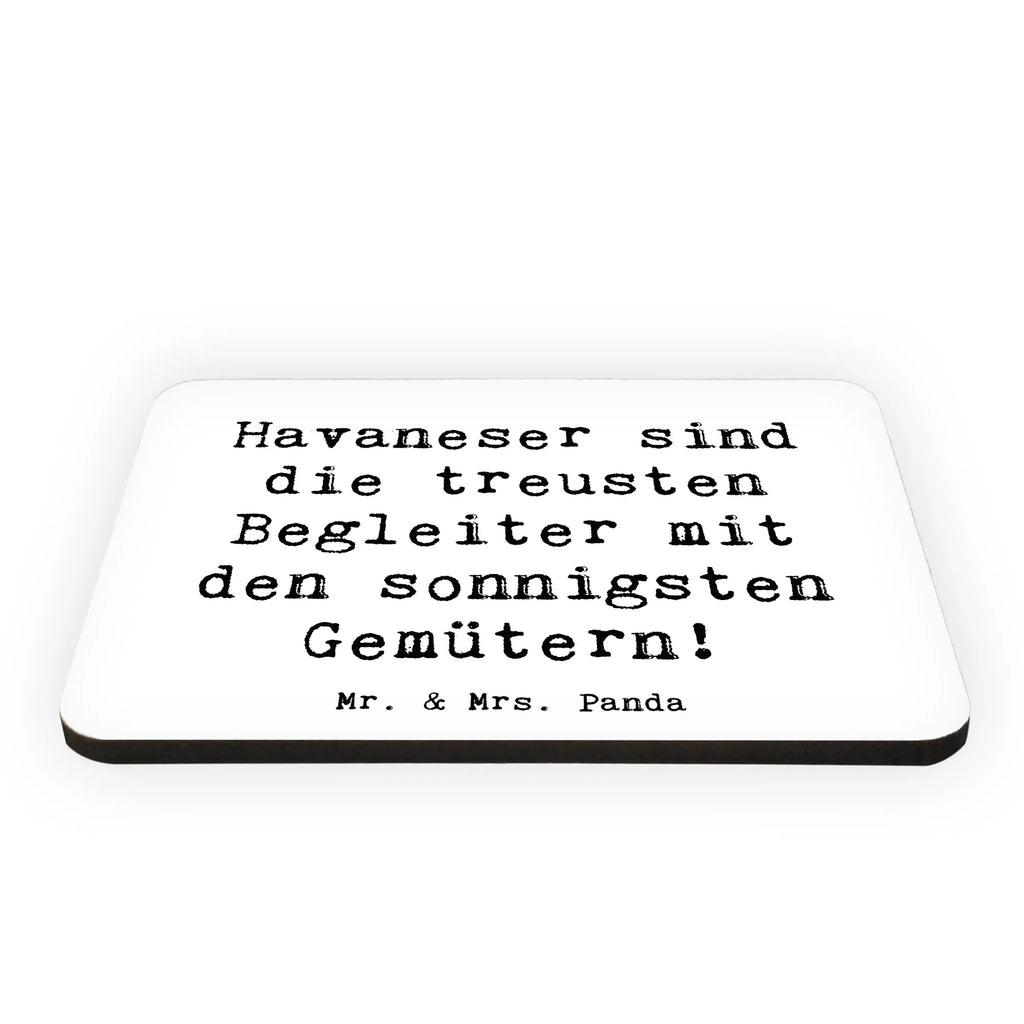 Magnet Spruch Havaneser Begleiter Kühlschrankmagnet, Pinnwandmagnet, Souvenir Magnet, Motivmagnete, Dekomagnet, Whiteboard Magnet, Notiz Magnet, Kühlschrank Dekoration, Hund, Hunderasse, Rassehund, Hundebesitzer, Geschenk, Tierfreund, Schenken, Welpe