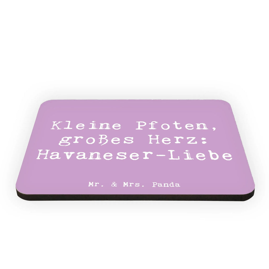 Magnet Spruch Havaneser Liebe Kühlschrankmagnet, Pinnwandmagnet, Souvenir Magnet, Motivmagnete, Dekomagnet, Whiteboard Magnet, Notiz Magnet, Kühlschrank Dekoration, Hund, Hunderasse, Rassehund, Hundebesitzer, Geschenk, Tierfreund, Schenken, Welpe