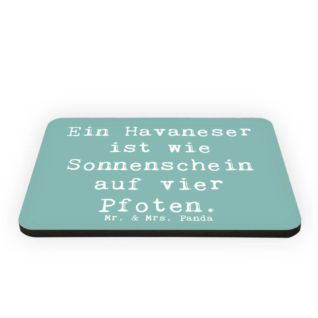 Magnet Spruch Havaneser Sonnenschein Kühlschrankmagnet, Pinnwandmagnet, Souvenir Magnet, Motivmagnete, Dekomagnet, Whiteboard Magnet, Notiz Magnet, Kühlschrank Dekoration, Hund, Hunderasse, Rassehund, Hundebesitzer, Geschenk, Tierfreund, Schenken, Welpe