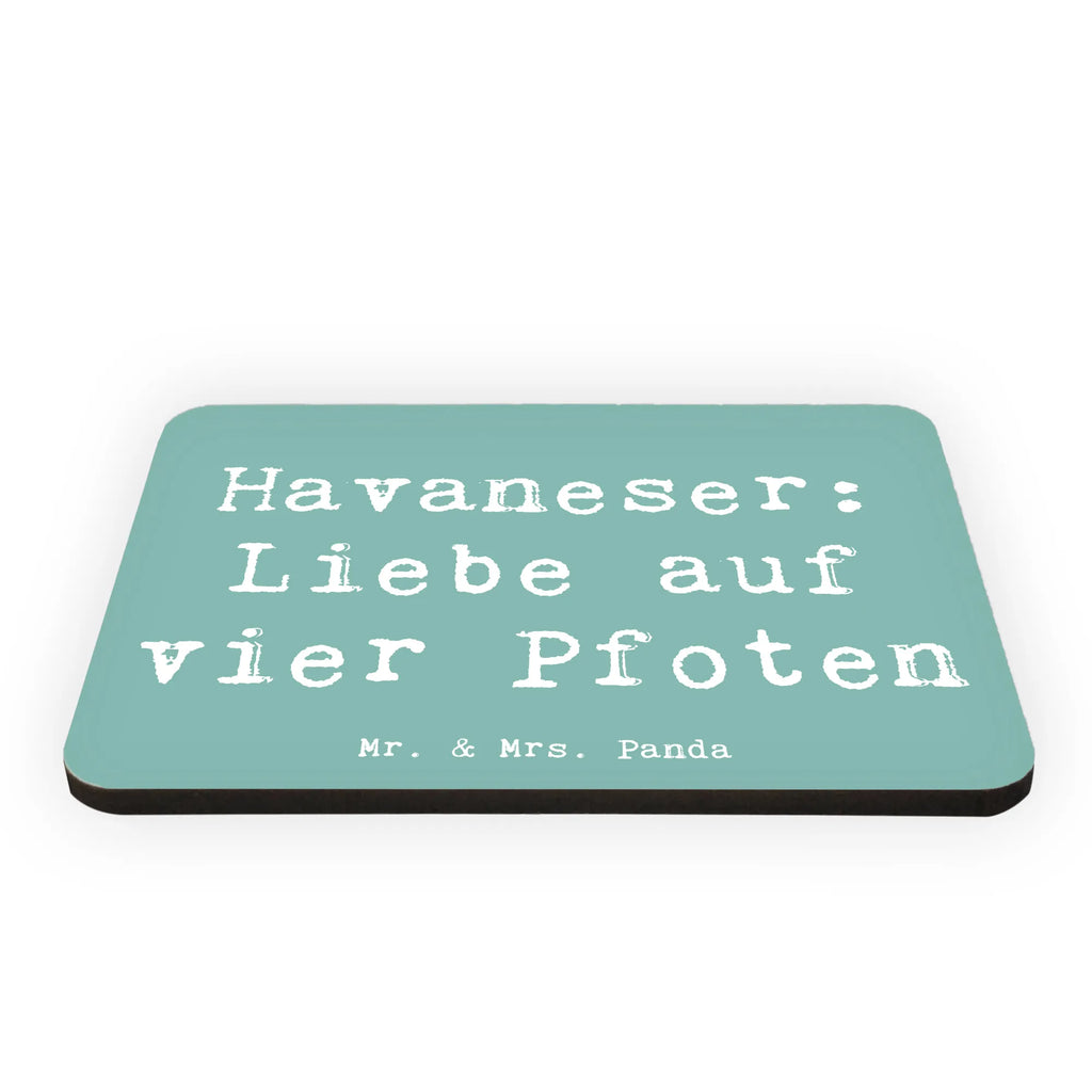 Magnet Spruch Havaneser Liebe Kühlschrankmagnet, Pinnwandmagnet, Souvenir Magnet, Motivmagnete, Dekomagnet, Whiteboard Magnet, Notiz Magnet, Kühlschrank Dekoration, Hund, Hunderasse, Rassehund, Hundebesitzer, Geschenk, Tierfreund, Schenken, Welpe