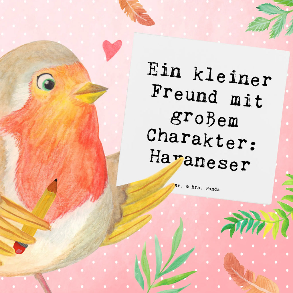 Deluxe Karte Spruch Havaneser Freund Karte, Grußkarte, Klappkarte, Einladungskarte, Glückwunschkarte, Hochzeitskarte, Geburtstagskarte, Hochwertige Grußkarte, Hochwertige Klappkarte, Hund, Hunderasse, Rassehund, Hundebesitzer, Geschenk, Tierfreund, Schenken, Welpe