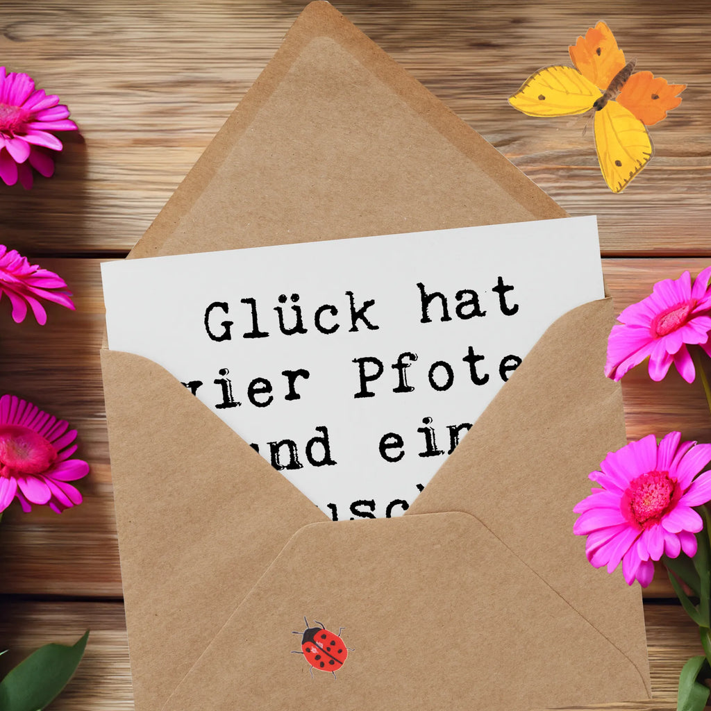 Deluxe Karte Spruch Havaneser Glück Karte, Grußkarte, Klappkarte, Einladungskarte, Glückwunschkarte, Hochzeitskarte, Geburtstagskarte, Hochwertige Grußkarte, Hochwertige Klappkarte, Hund, Hunderasse, Rassehund, Hundebesitzer, Geschenk, Tierfreund, Schenken, Welpe