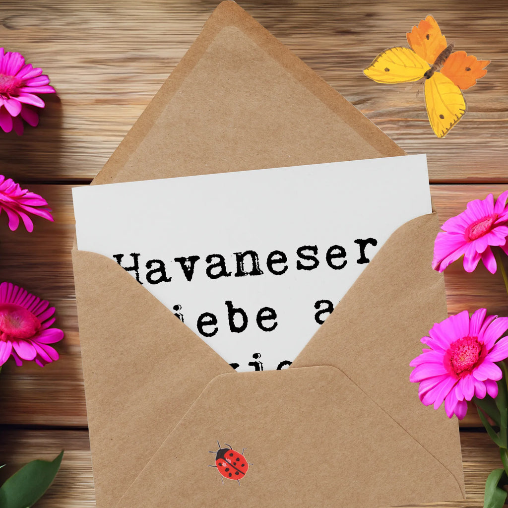 Deluxe Karte Spruch Havaneser Liebe Karte, Grußkarte, Klappkarte, Einladungskarte, Glückwunschkarte, Hochzeitskarte, Geburtstagskarte, Hochwertige Grußkarte, Hochwertige Klappkarte, Hund, Hunderasse, Rassehund, Hundebesitzer, Geschenk, Tierfreund, Schenken, Welpe