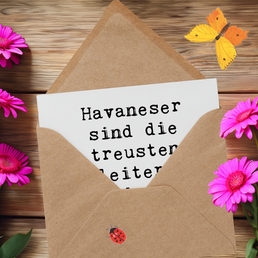 Deluxe Karte Spruch Havaneser Begleiter Karte, Grußkarte, Klappkarte, Einladungskarte, Glückwunschkarte, Hochzeitskarte, Geburtstagskarte, Hochwertige Grußkarte, Hochwertige Klappkarte, Hund, Hunderasse, Rassehund, Hundebesitzer, Geschenk, Tierfreund, Schenken, Welpe