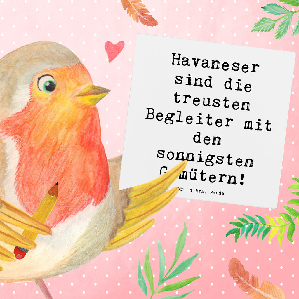 Deluxe Karte Spruch Havaneser Begleiter Karte, Grußkarte, Klappkarte, Einladungskarte, Glückwunschkarte, Hochzeitskarte, Geburtstagskarte, Hochwertige Grußkarte, Hochwertige Klappkarte, Hund, Hunderasse, Rassehund, Hundebesitzer, Geschenk, Tierfreund, Schenken, Welpe