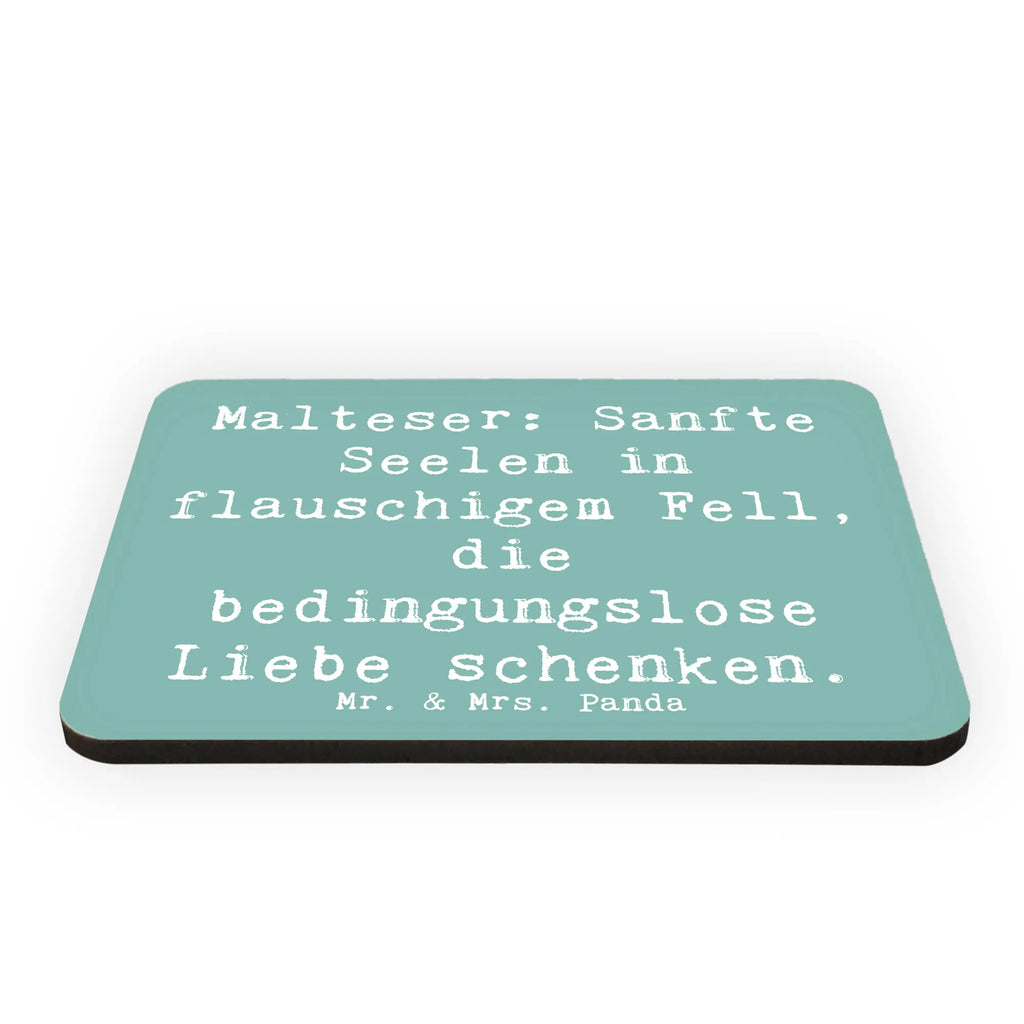 Magnet Spruch Malteser Liebe Kühlschrankmagnet, Pinnwandmagnet, Souvenir Magnet, Motivmagnete, Dekomagnet, Whiteboard Magnet, Notiz Magnet, Kühlschrank Dekoration, Hund, Hunderasse, Rassehund, Hundebesitzer, Geschenk, Tierfreund, Schenken, Welpe