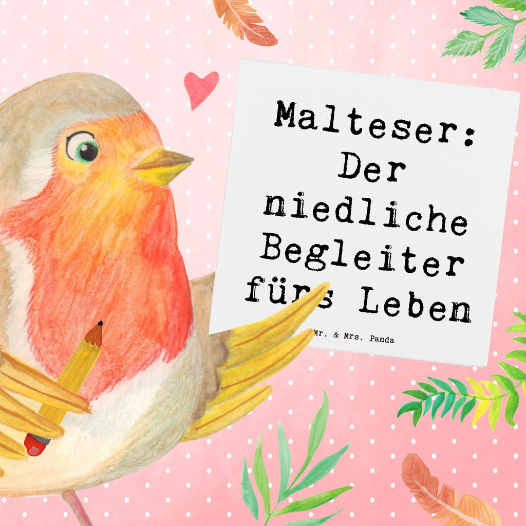 Deluxe Karte Spruch Malteser Begleiter Karte, Grußkarte, Klappkarte, Einladungskarte, Glückwunschkarte, Hochzeitskarte, Geburtstagskarte, Hochwertige Grußkarte, Hochwertige Klappkarte, Hund, Hunderasse, Rassehund, Hundebesitzer, Geschenk, Tierfreund, Schenken, Welpe