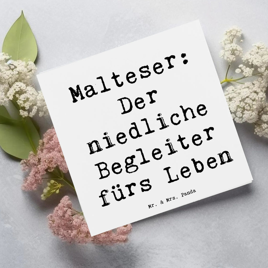 Deluxe Karte Spruch Malteser Begleiter Karte, Grußkarte, Klappkarte, Einladungskarte, Glückwunschkarte, Hochzeitskarte, Geburtstagskarte, Hochwertige Grußkarte, Hochwertige Klappkarte, Hund, Hunderasse, Rassehund, Hundebesitzer, Geschenk, Tierfreund, Schenken, Welpe