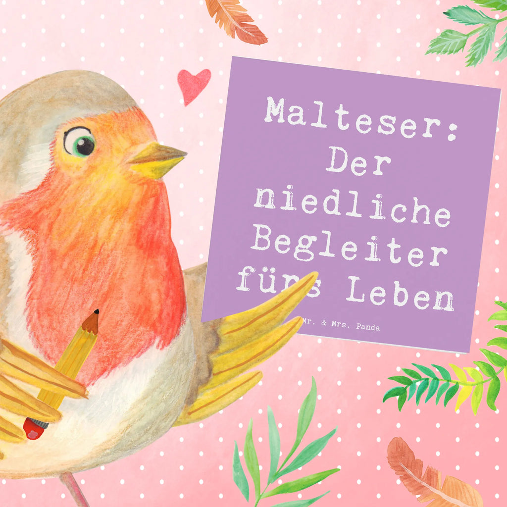 Deluxe Karte Spruch Malteser Begleiter Karte, Grußkarte, Klappkarte, Einladungskarte, Glückwunschkarte, Hochzeitskarte, Geburtstagskarte, Hochwertige Grußkarte, Hochwertige Klappkarte, Hund, Hunderasse, Rassehund, Hundebesitzer, Geschenk, Tierfreund, Schenken, Welpe