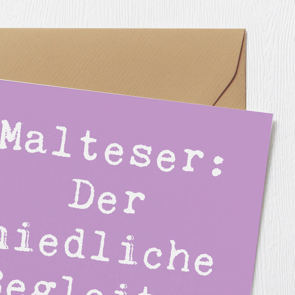 Deluxe Karte Spruch Malteser Begleiter Karte, Grußkarte, Klappkarte, Einladungskarte, Glückwunschkarte, Hochzeitskarte, Geburtstagskarte, Hochwertige Grußkarte, Hochwertige Klappkarte, Hund, Hunderasse, Rassehund, Hundebesitzer, Geschenk, Tierfreund, Schenken, Welpe