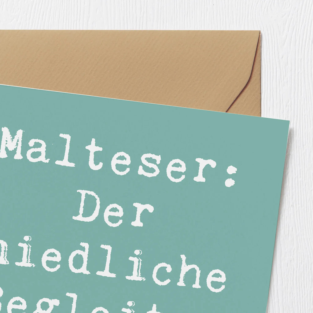 Deluxe Karte Spruch Malteser Begleiter Karte, Grußkarte, Klappkarte, Einladungskarte, Glückwunschkarte, Hochzeitskarte, Geburtstagskarte, Hochwertige Grußkarte, Hochwertige Klappkarte, Hund, Hunderasse, Rassehund, Hundebesitzer, Geschenk, Tierfreund, Schenken, Welpe