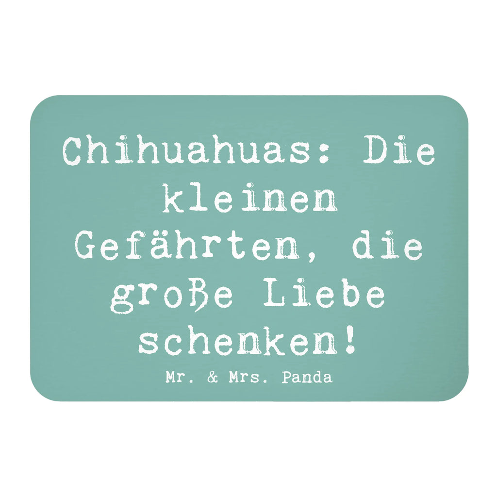 Magnet Spruch Chihuahua Liebe Kühlschrankmagnet, Pinnwandmagnet, Souvenir Magnet, Motivmagnete, Dekomagnet, Whiteboard Magnet, Notiz Magnet, Kühlschrank Dekoration, Hund, Hunderasse, Rassehund, Hundebesitzer, Geschenk, Tierfreund, Schenken, Welpe