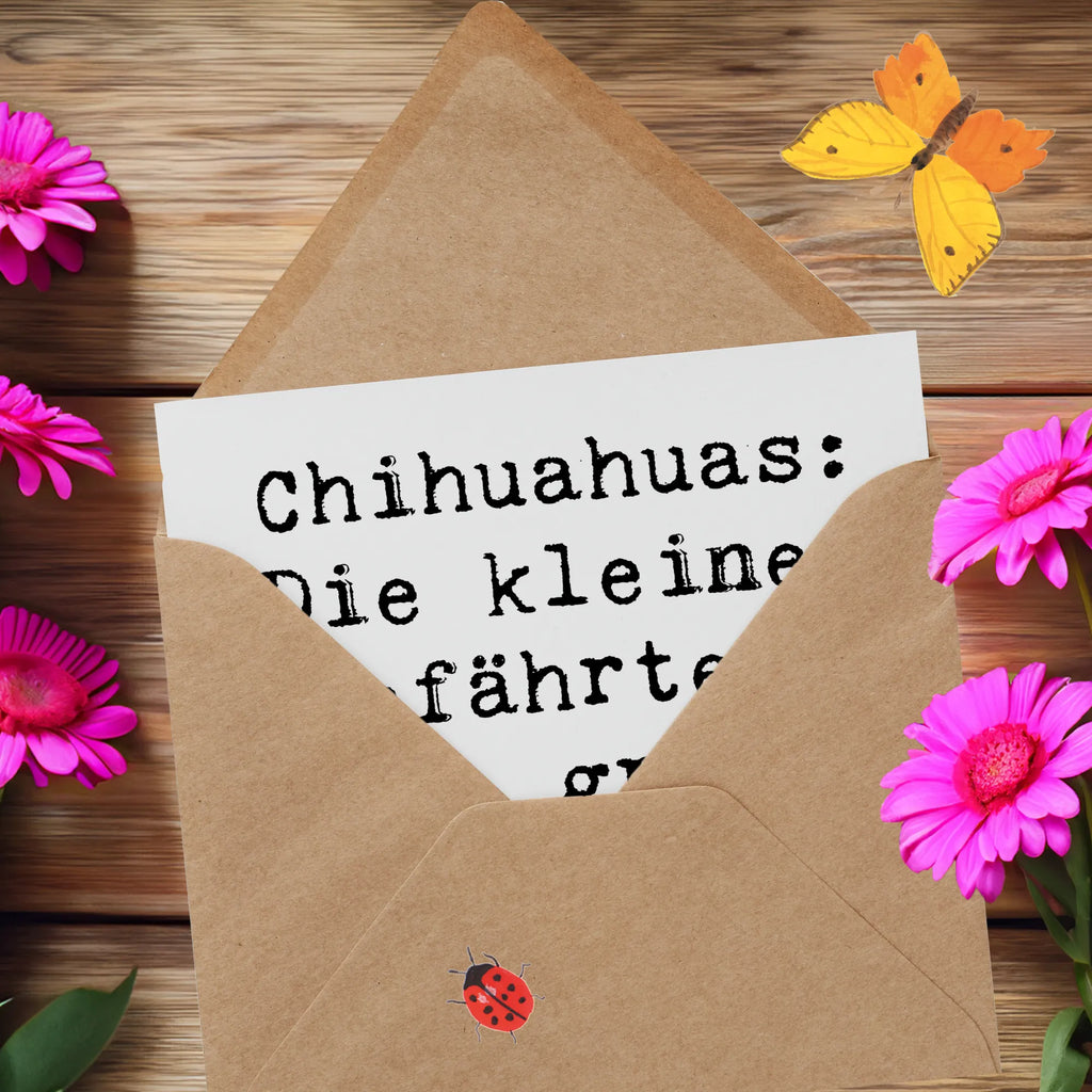 Deluxe Karte Spruch Chihuahua Liebe Karte, Grußkarte, Klappkarte, Einladungskarte, Glückwunschkarte, Hochzeitskarte, Geburtstagskarte, Hochwertige Grußkarte, Hochwertige Klappkarte, Hund, Hunderasse, Rassehund, Hundebesitzer, Geschenk, Tierfreund, Schenken, Welpe