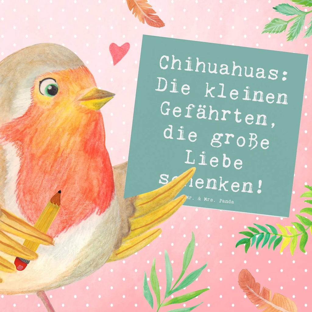 Deluxe Karte Spruch Chihuahua Liebe Karte, Grußkarte, Klappkarte, Einladungskarte, Glückwunschkarte, Hochzeitskarte, Geburtstagskarte, Hochwertige Grußkarte, Hochwertige Klappkarte, Hund, Hunderasse, Rassehund, Hundebesitzer, Geschenk, Tierfreund, Schenken, Welpe