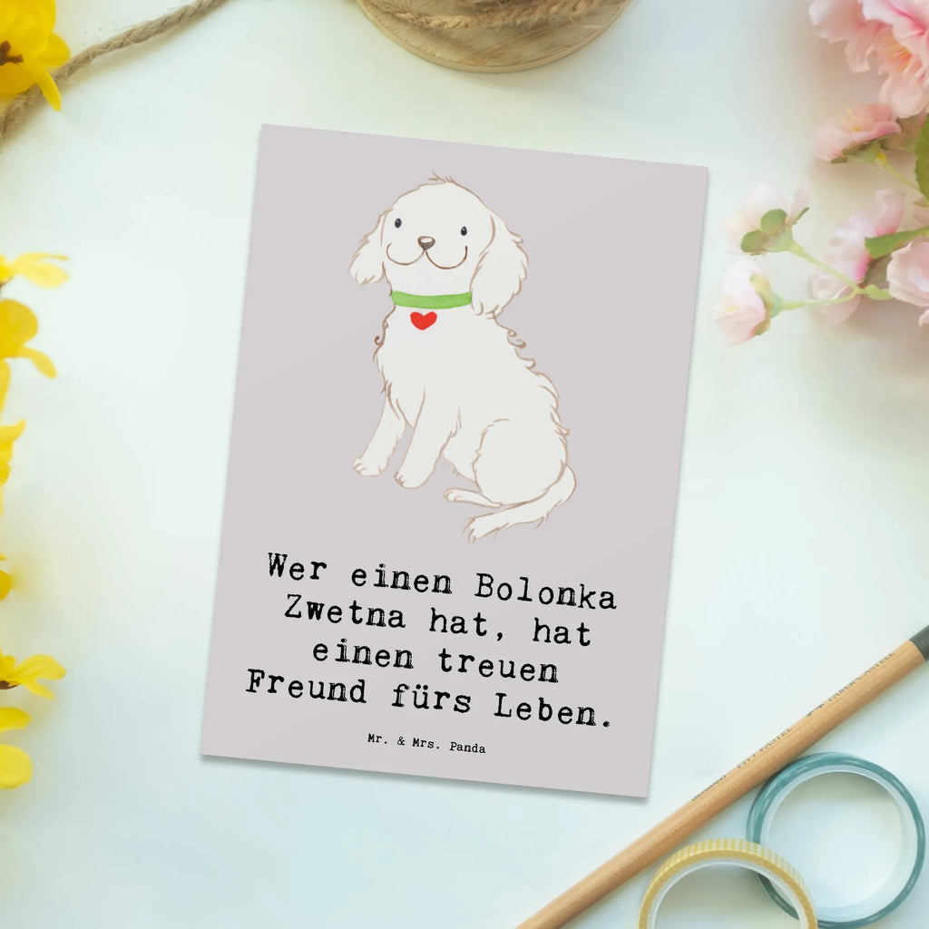 Postkarte Bolonka Zwetna Postkarte, Karte, Geschenkkarte, Grußkarte, Einladung, Ansichtskarte, Geburtstagskarte, Einladungskarte, Dankeskarte, Ansichtskarten, Einladung Geburtstag, Einladungskarten Geburtstag, Hund, Hunderasse, Rassehund, Hundebesitzer, Geschenk, Tierfreund, Schenken, Welpe