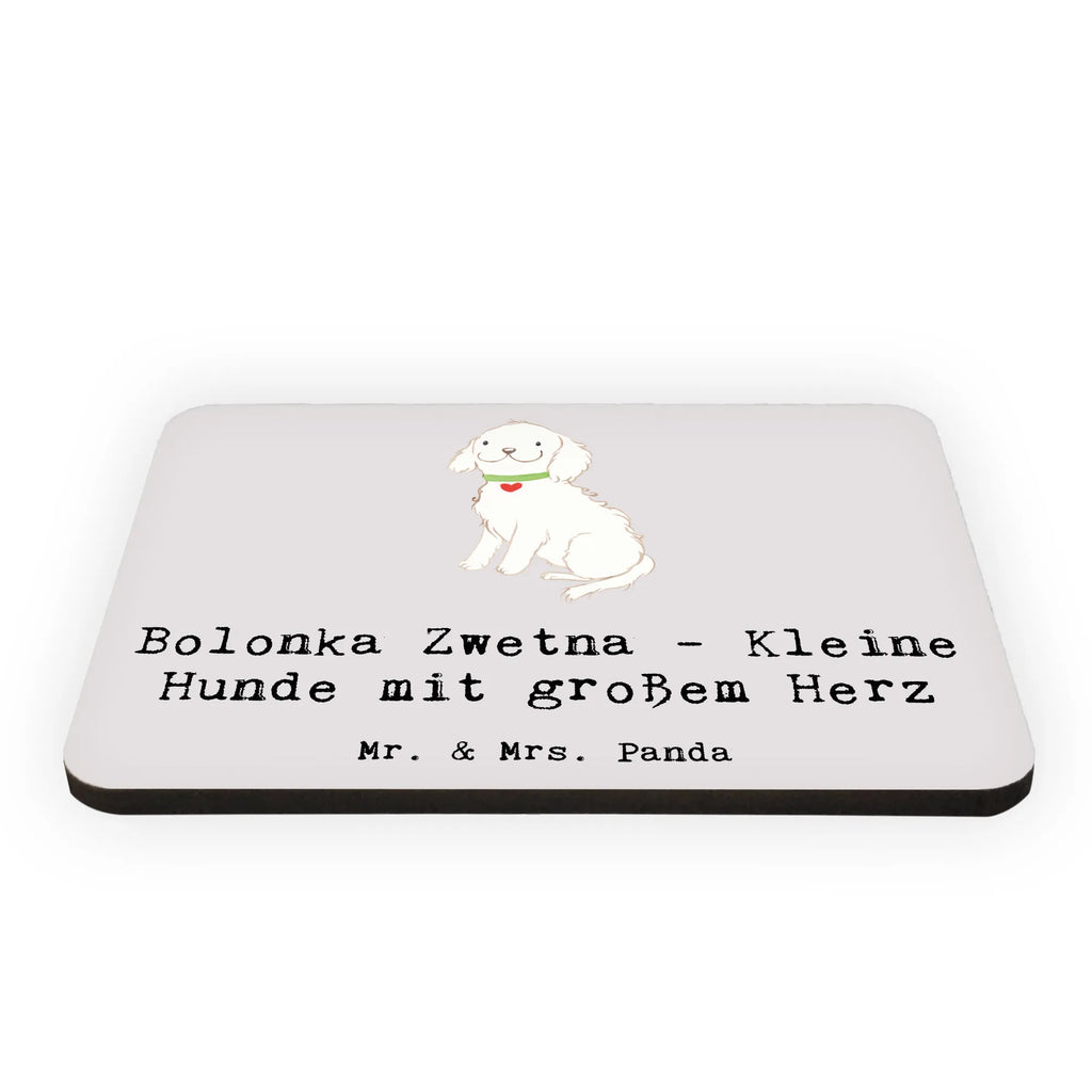 Magnet Bolonka Zwetna Herz Kühlschrankmagnet, Pinnwandmagnet, Souvenir Magnet, Motivmagnete, Dekomagnet, Whiteboard Magnet, Notiz Magnet, Kühlschrank Dekoration, Hund, Hunderasse, Rassehund, Hundebesitzer, Geschenk, Tierfreund, Schenken, Welpe