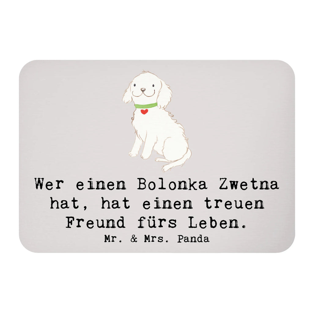 Magnet Bolonka Zwetna Kühlschrankmagnet, Pinnwandmagnet, Souvenir Magnet, Motivmagnete, Dekomagnet, Whiteboard Magnet, Notiz Magnet, Kühlschrank Dekoration, Hund, Hunderasse, Rassehund, Hundebesitzer, Geschenk, Tierfreund, Schenken, Welpe