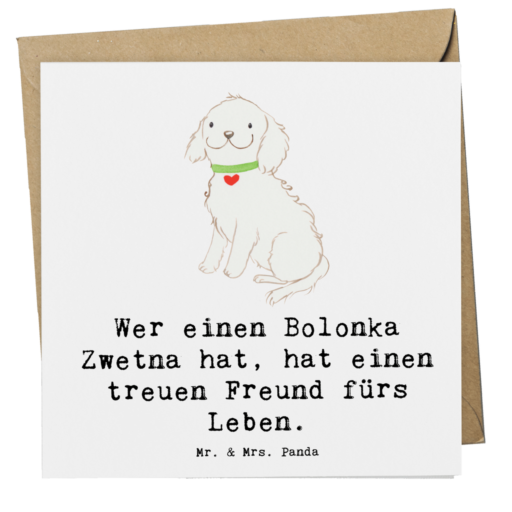 Deluxe Karte Bolonka Zwetna Karte, Grußkarte, Klappkarte, Einladungskarte, Glückwunschkarte, Hochzeitskarte, Geburtstagskarte, Hochwertige Grußkarte, Hochwertige Klappkarte, Hund, Hunderasse, Rassehund, Hundebesitzer, Geschenk, Tierfreund, Schenken, Welpe