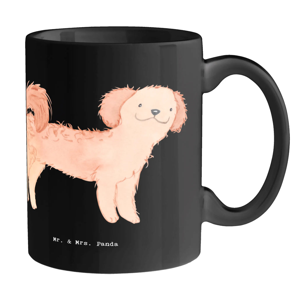 Tasse Cavapoo Sonnenschein Tasse, Kaffeetasse, Teetasse, Becher, Kaffeebecher, Teebecher, Keramiktasse, Porzellantasse, Büro Tasse, Geschenk Tasse, Tasse Sprüche, Tasse Motive, Kaffeetassen, Tasse bedrucken, Designer Tasse, Cappuccino Tassen, Schöne Teetassen, Hund, Hunderasse, Rassehund, Hundebesitzer, Geschenk, Tierfreund, Schenken, Welpe