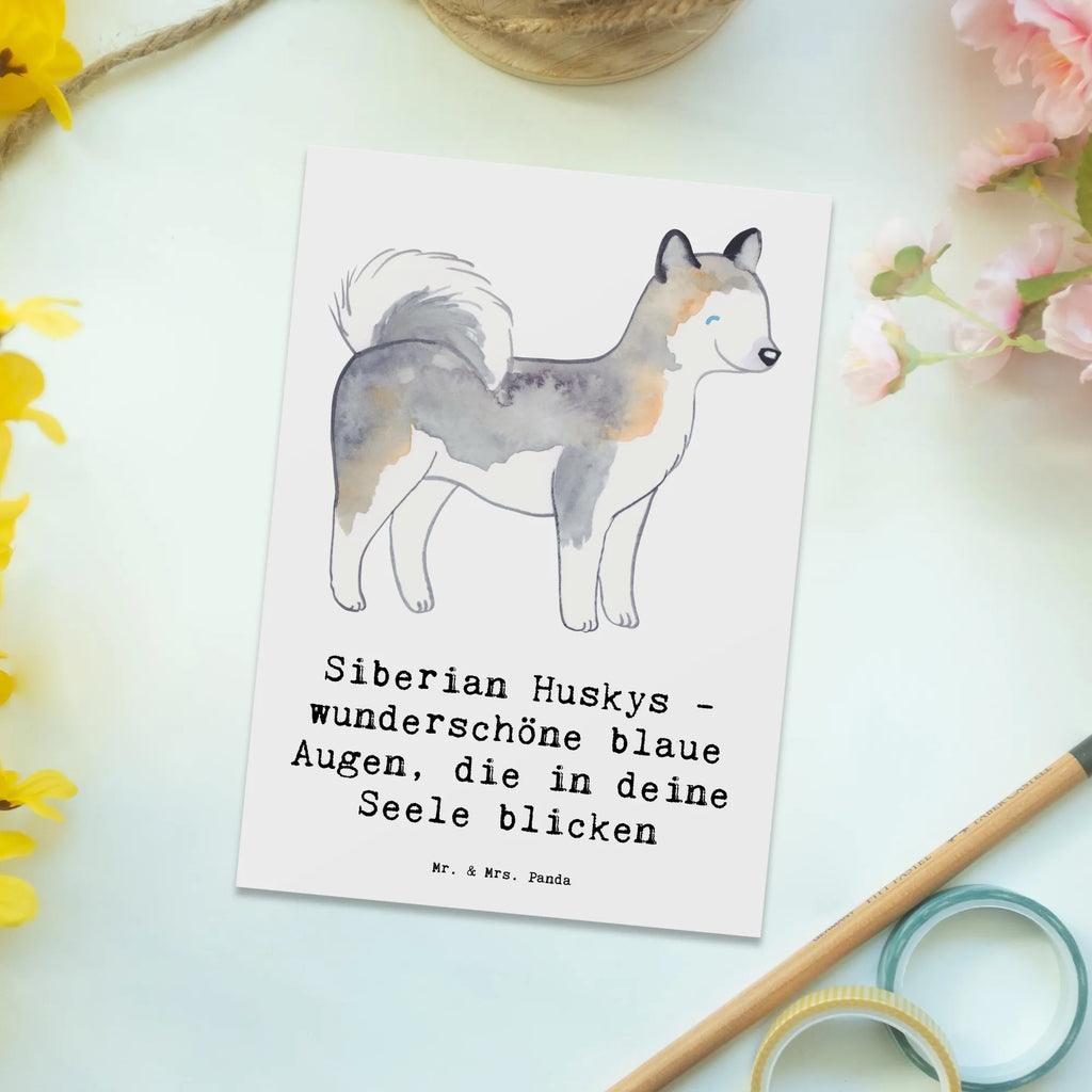 Postkarte Siberian Husky Augenzauber Postkarte, Karte, Geschenkkarte, Grußkarte, Einladung, Ansichtskarte, Geburtstagskarte, Einladungskarte, Dankeskarte, Ansichtskarten, Einladung Geburtstag, Einladungskarten Geburtstag, Hund, Hunderasse, Rassehund, Hundebesitzer, Geschenk, Tierfreund, Schenken, Welpe